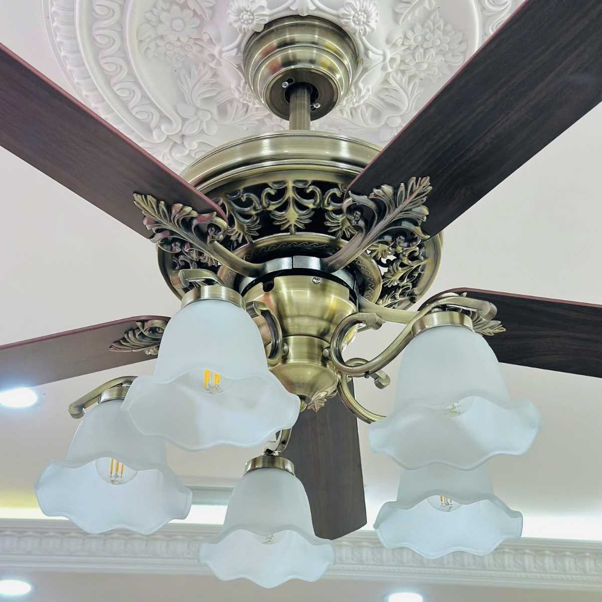 với thiết kế hài hòa
